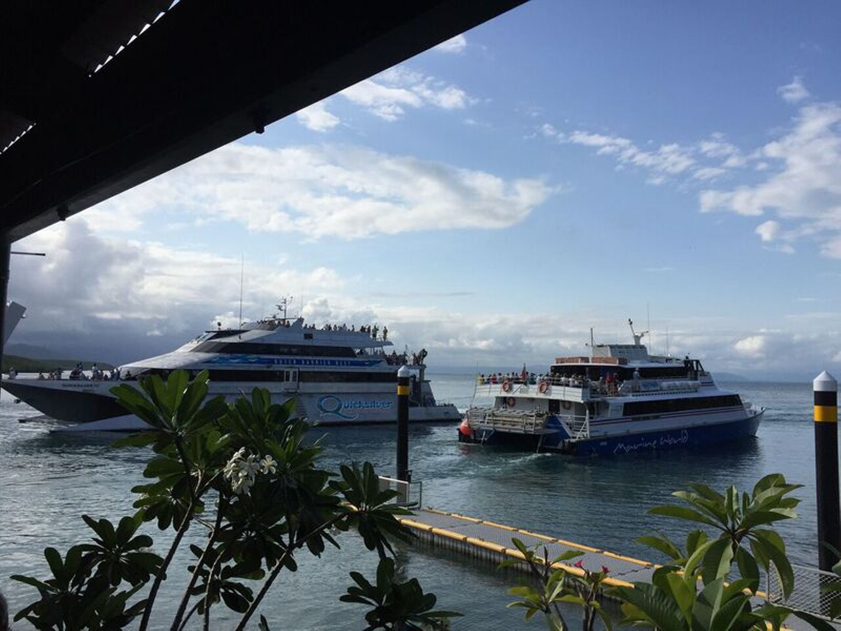 Lazy Lizard Motor Inn