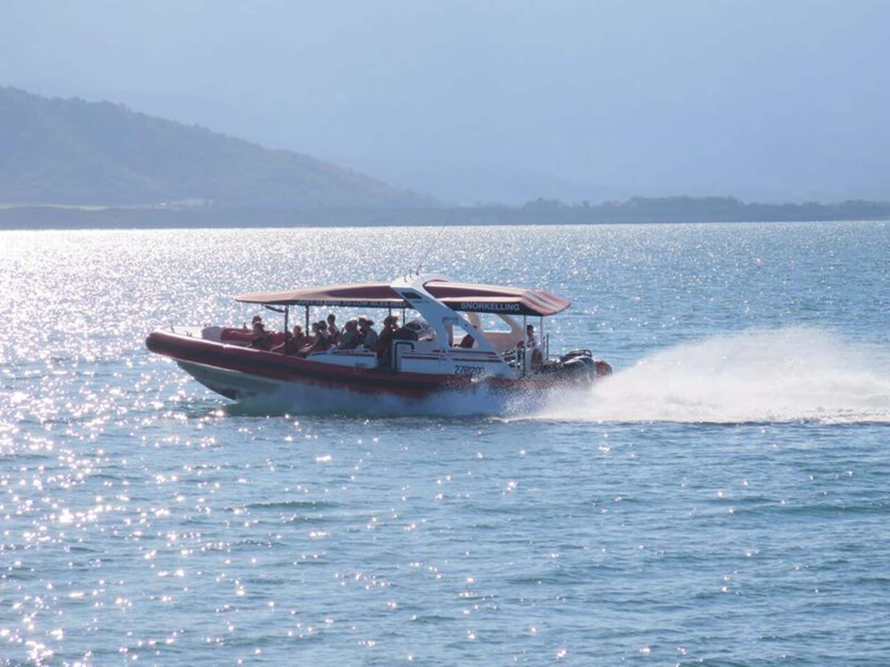 Lazy Lizard Motor Inn