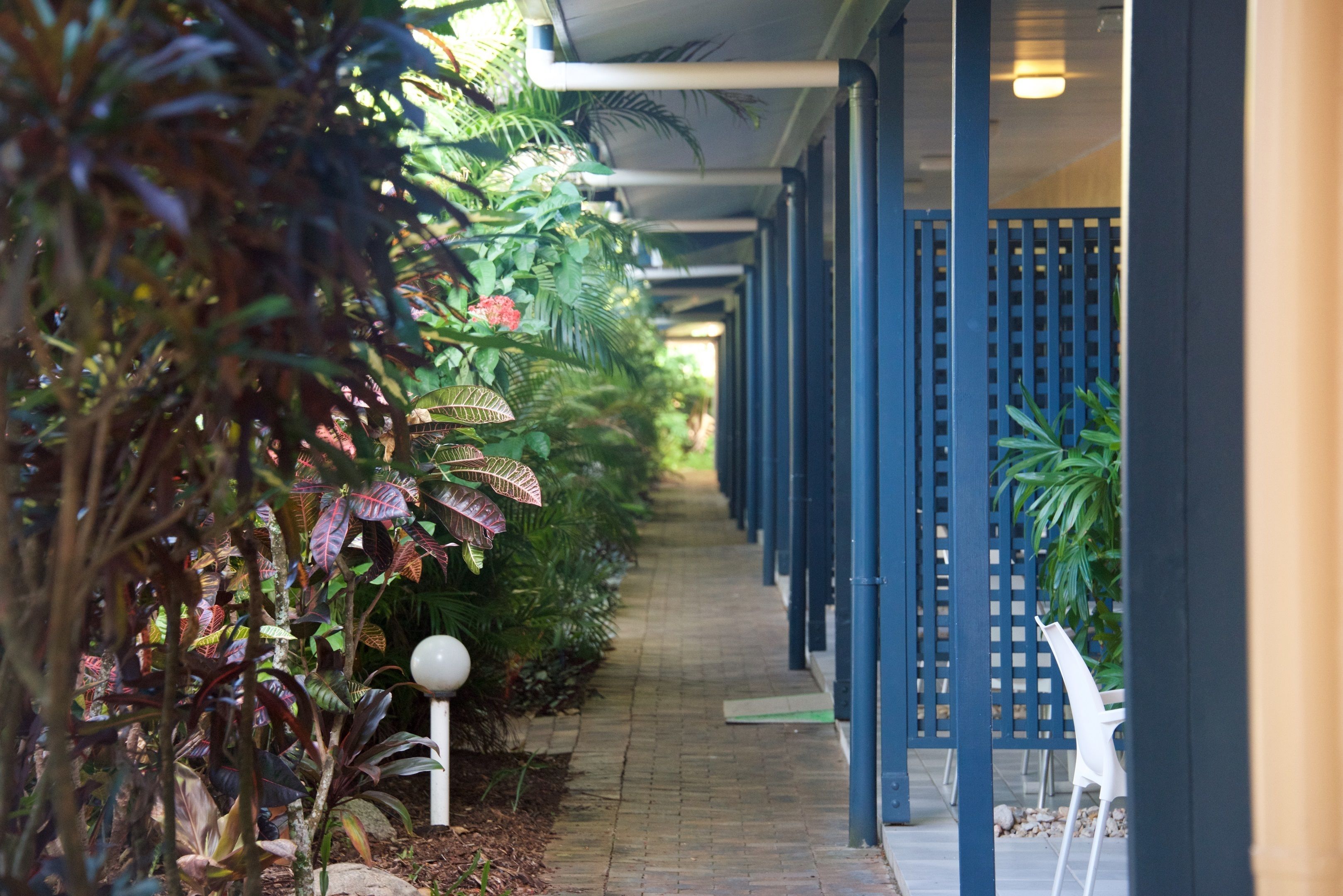 Lazy Lizard Motor Inn