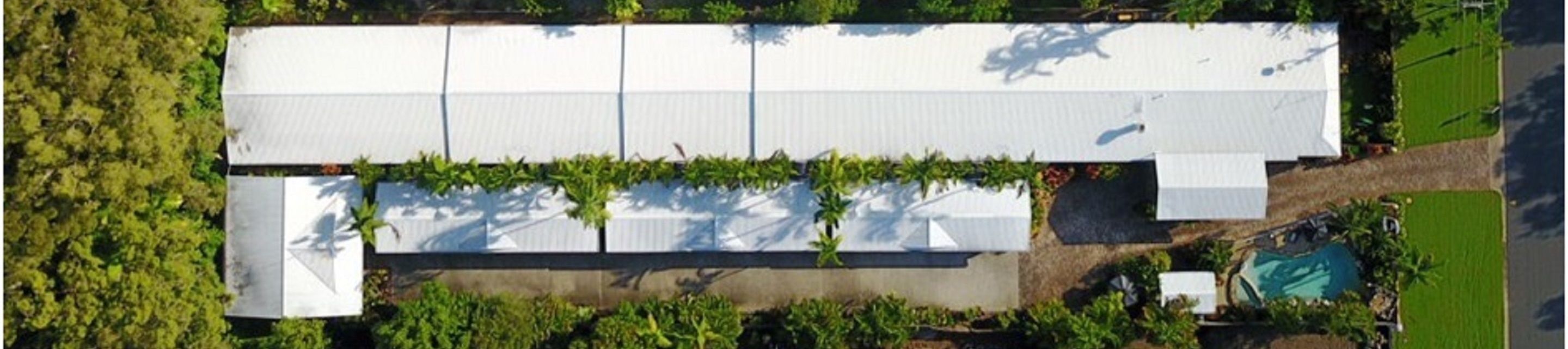 Lazy Lizard Motor Inn