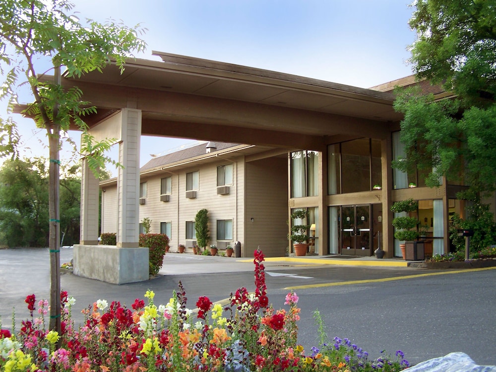 Best Western Plus Sonora Oaks Hotel & Conference Center 2019 Room