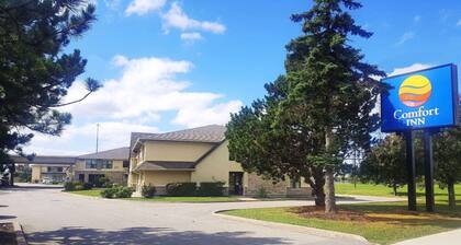 Comfort Inn Toronto North