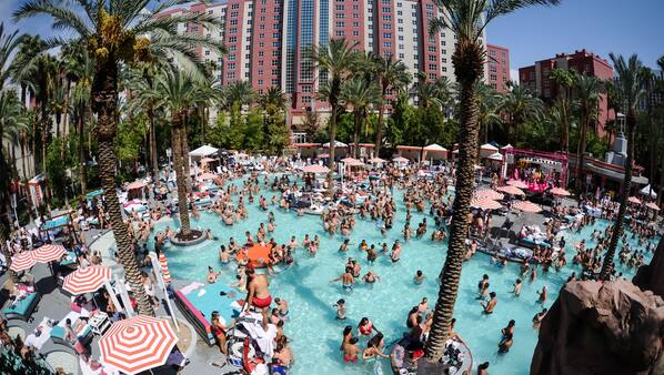 Flamingo Las Vegas Hotel | Expedia