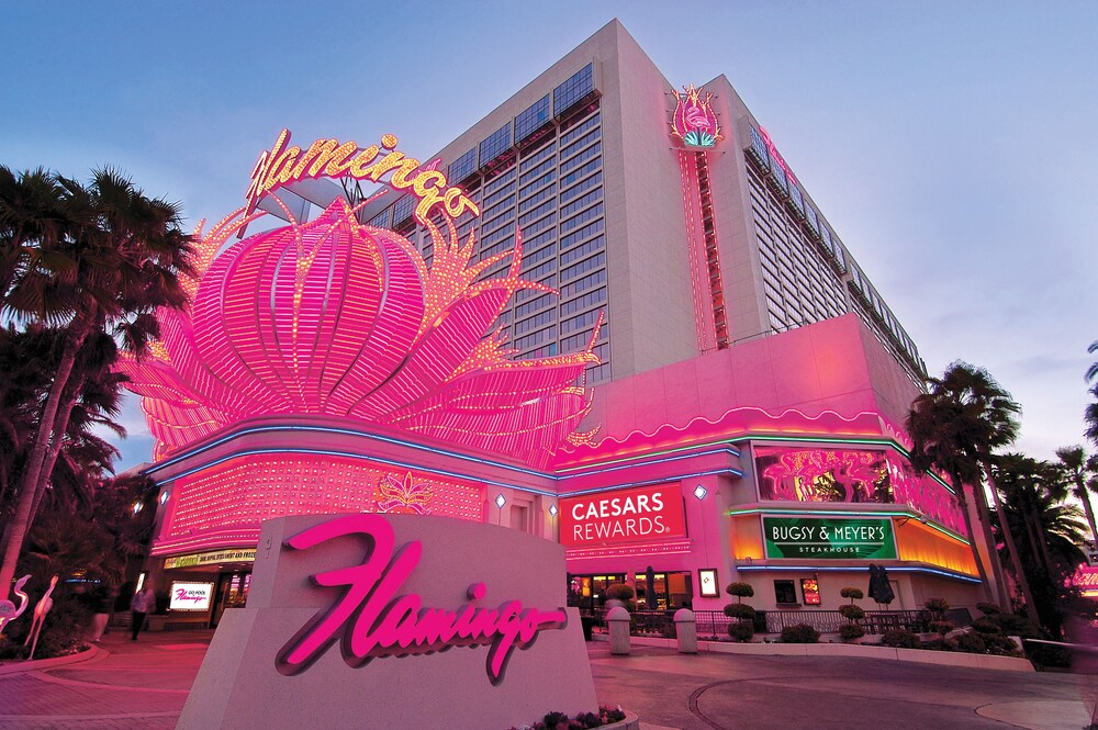 Flamingo Las Vegas Hotel & Casino in Las Vegas Best Rates & Deals