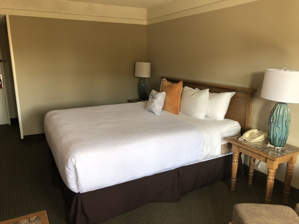 Atrium Hotel at Orange County Airport: 2019 Room Prices ...