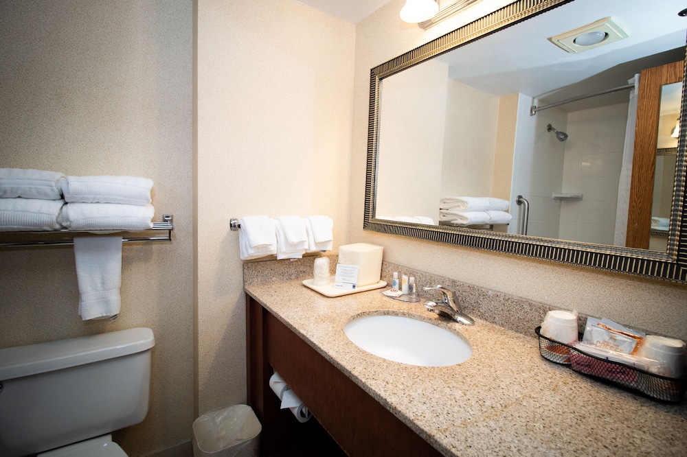 Bathroom, Comfort Inn Arlington Heights - O'Hare Airport