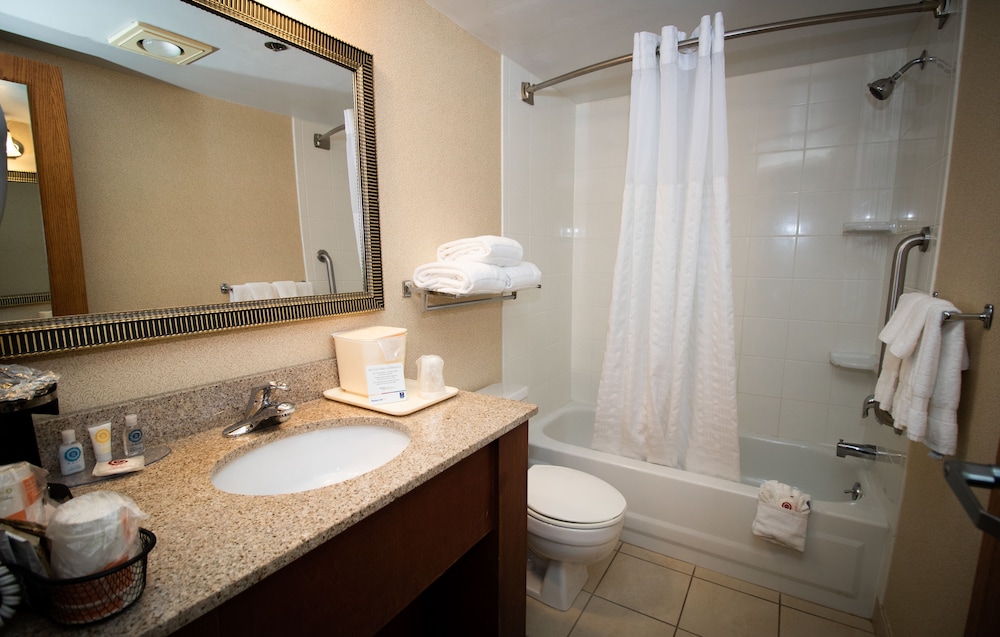 Bathroom, Comfort Inn Arlington Heights - O'Hare Airport