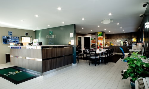 Top 10 Accommodation Near California State University East Bay From Hotels Near California State University East Bay Quality Inn Hayward
