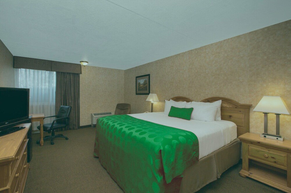 Room, EverSpring Inn & Suites