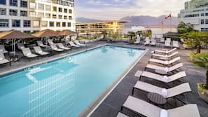 Outdoor pool, pool umbrellas, pool loungers