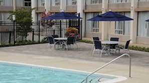 Seasonal outdoor pool, pool umbrellas, sun loungers