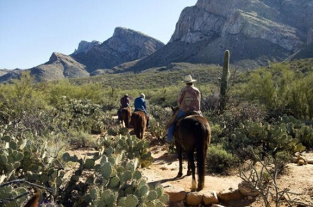 Hiking, El Conquistador Tucson, A Hilton Resort