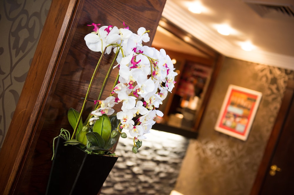 Warrington Fir Grove Hotel, Sure Hotel Collection by BW