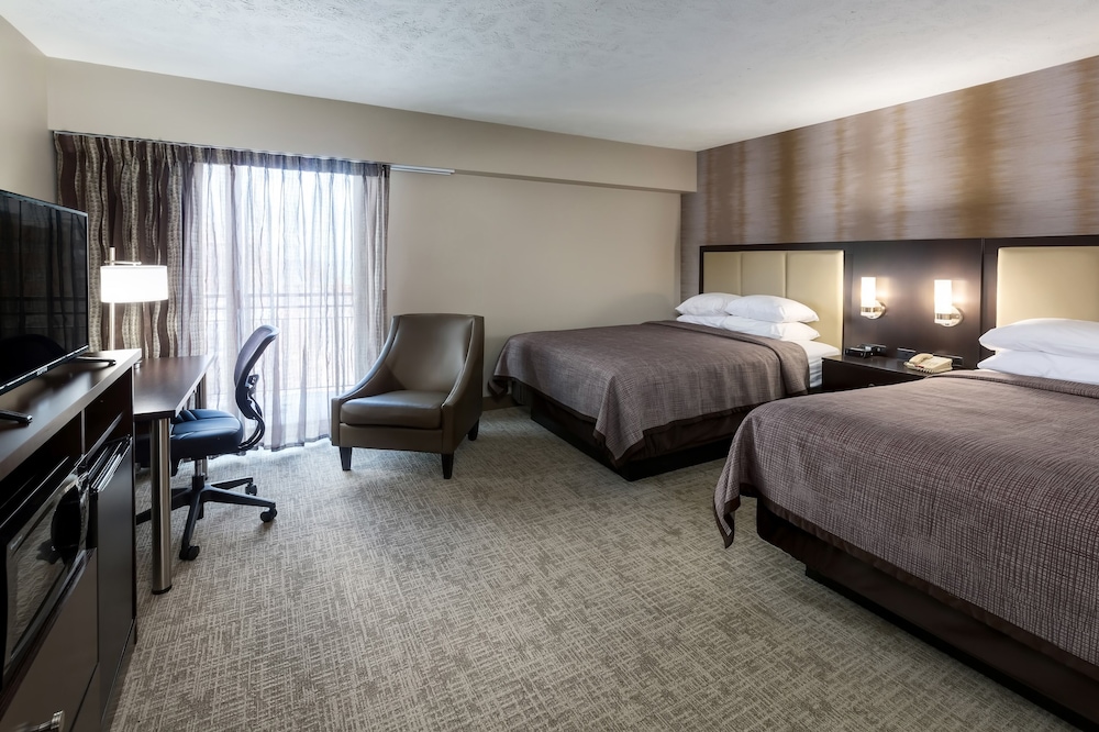 6 Best PetFriendly Hotels In Traverse City, Michigan Trip101