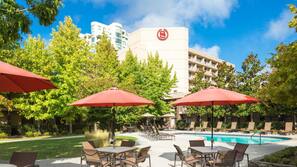 Outdoor pool, open 8:00 AM to 11:00 PM, pool umbrellas, sun loungers