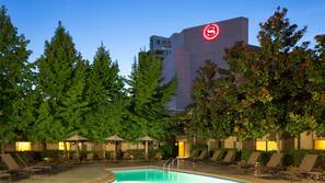 Outdoor pool, open 8:00 AM to 11:00 PM, pool umbrellas, sun loungers