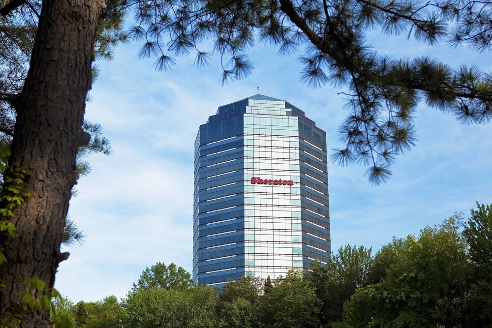 Sheraton Tysons Hotel 2019 Room S 76 Deals Reviews Expedia
