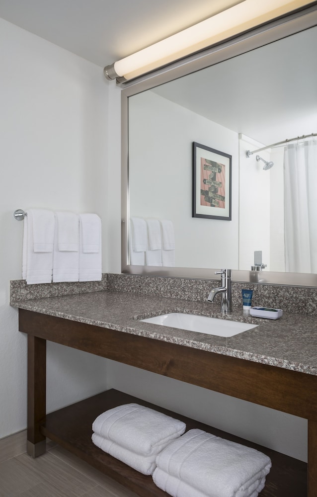 Bathroom, Four Points by Sheraton Buffalo Grove