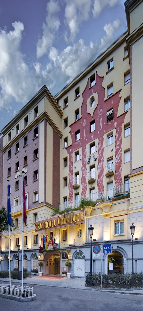 Imagen de Sercotel Gran Hotel Conde Duque (15 de 18)