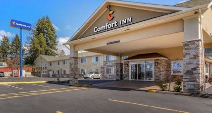 Comfort Inn
