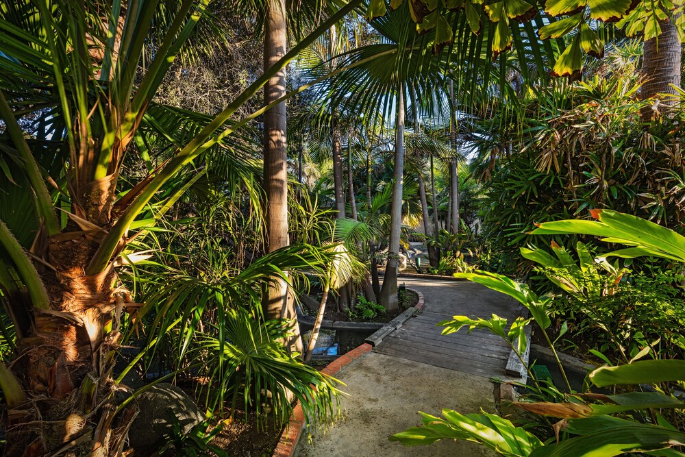 View from room, Bahia Resort Hotel