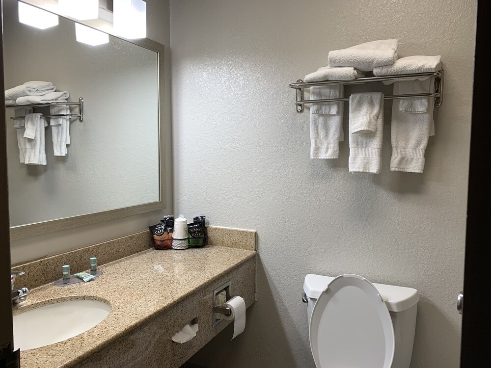 Bathroom, Best Western Center Inn