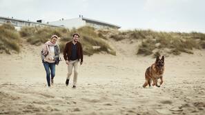 Aan het strand