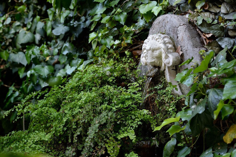Jardín