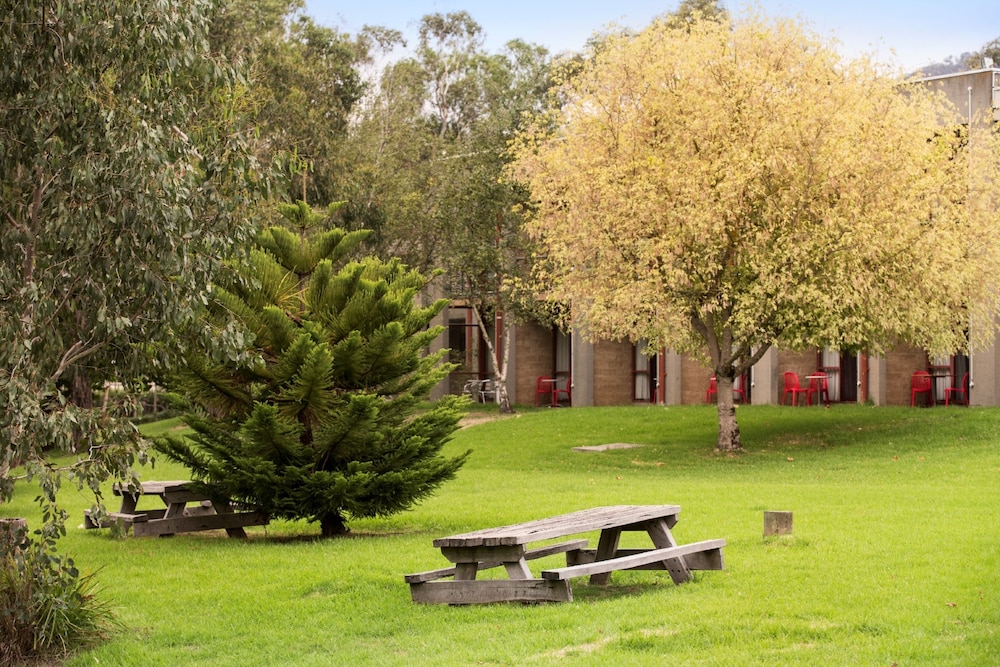 Garden, Nightcap at York on Lilydale