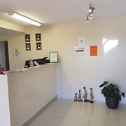 Comfort Inn Glenfield Kearneys Spring Aus Best Price - 