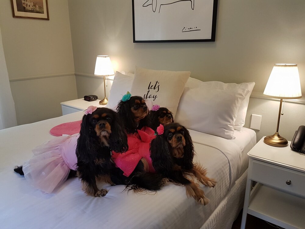 The Hughenden Boutique Hotel