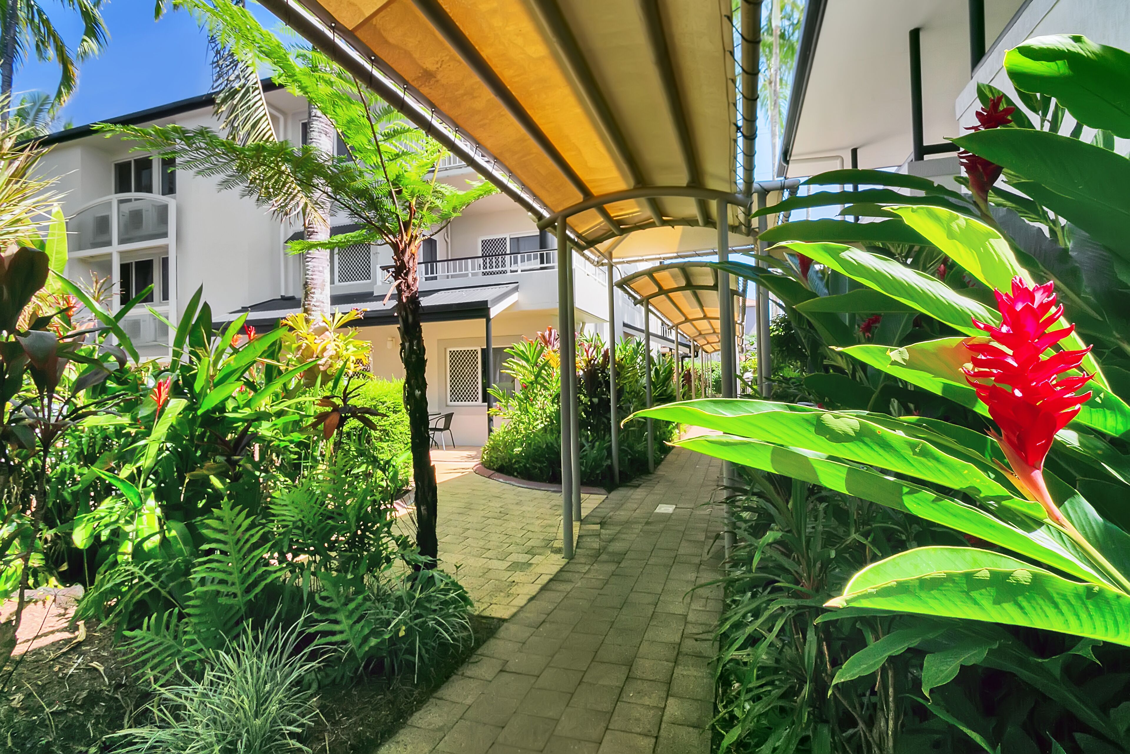 Cairns Reef Apartments & Motel
