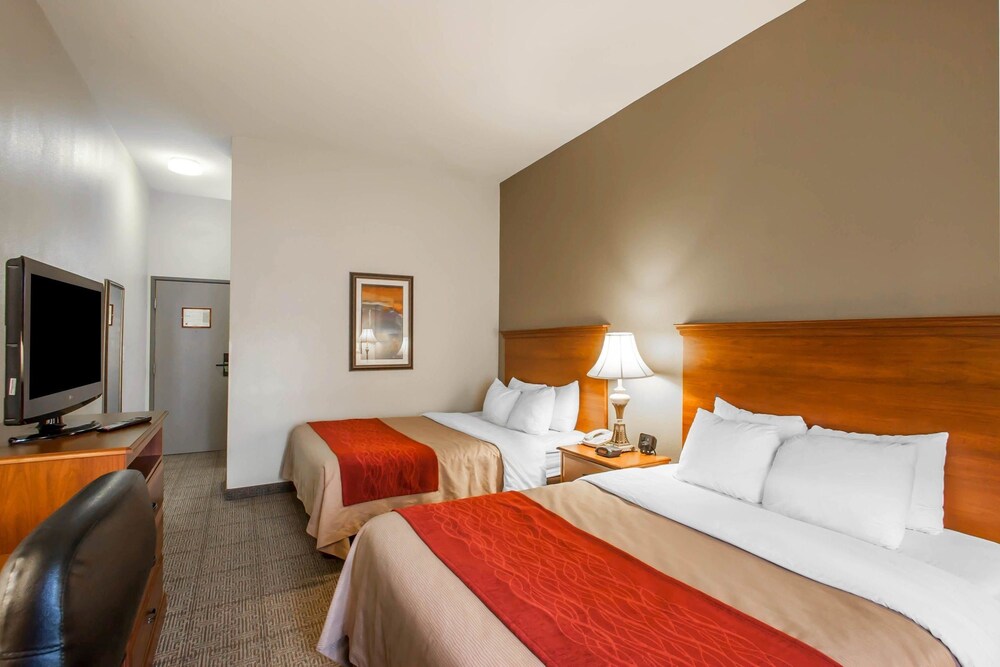 Room, Quality Inn & Suites Germantown North