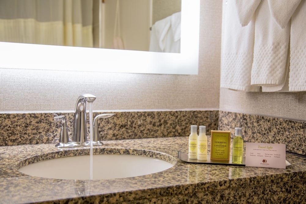 Bathroom sink, DoubleTree by Hilton Las Vegas Airport