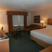 Top 10 Pet Friendly Hotels In Raton Nm 49 Dog Cat - 