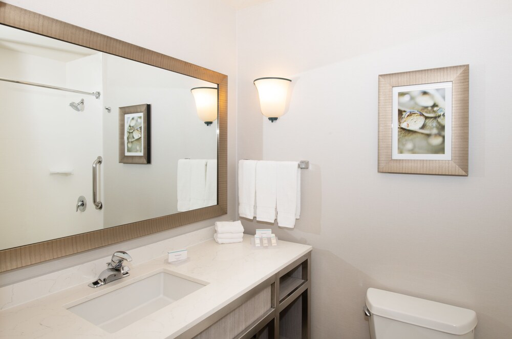 Bathroom, Hilton Garden Inn Portland/Beaverton