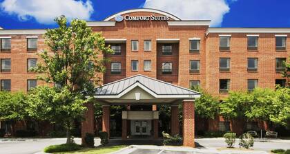 Comfort Suites Regency Park