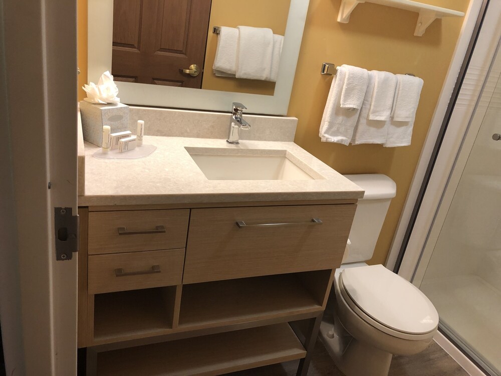 TownePlace Suites by Marriott Tampa North/I-75 Fletcher