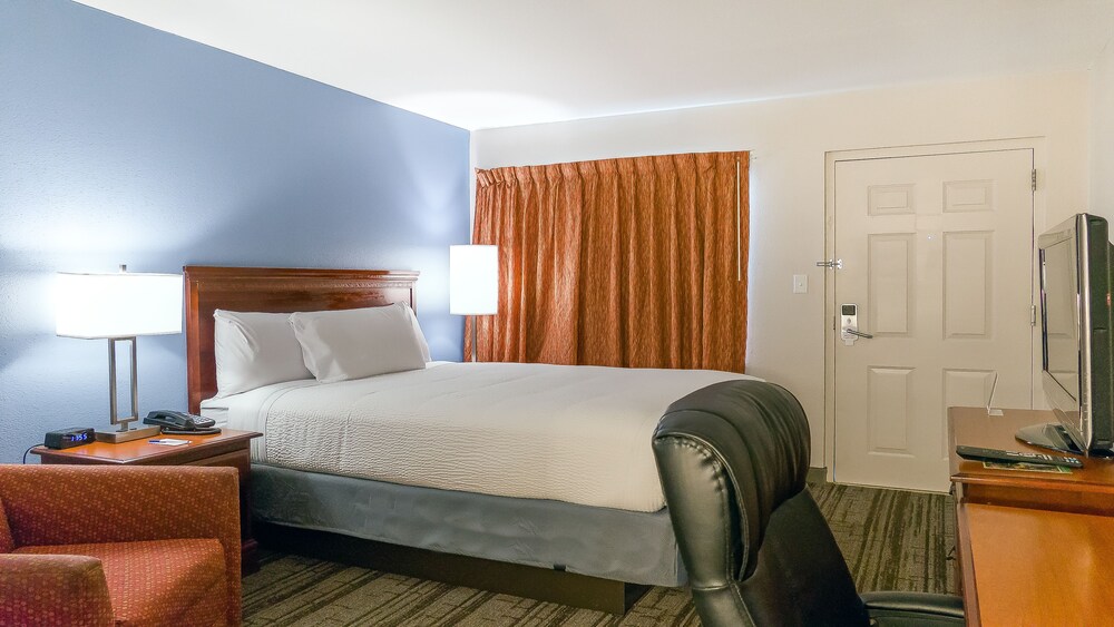 Hotel South Tampa & Suites