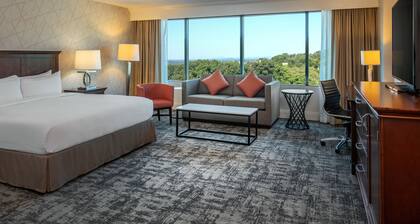 Hilton Greenville