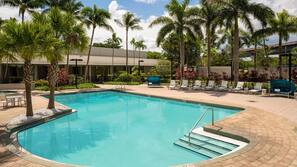 Outdoor pool, sun loungers