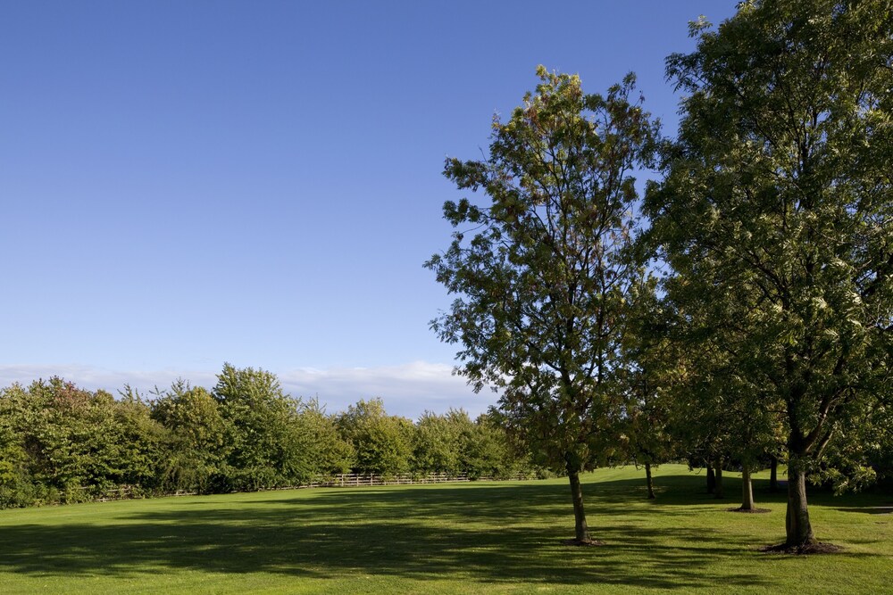 Garden, Holiday Inn Derby Nottingham M1 J25, an IHG Hotel