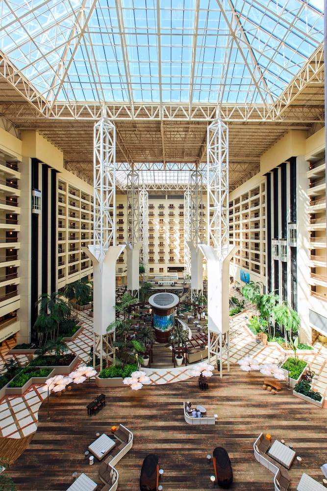Renaissance Orlando at SeaWorld, Orlando 2019 Room Prices & Reviews