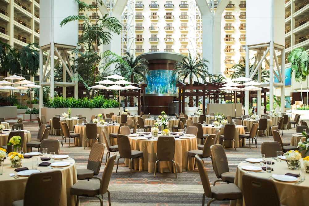 Renaissance Orlando at SeaWorld 2019 Room Prices 135, Deals & Reviews