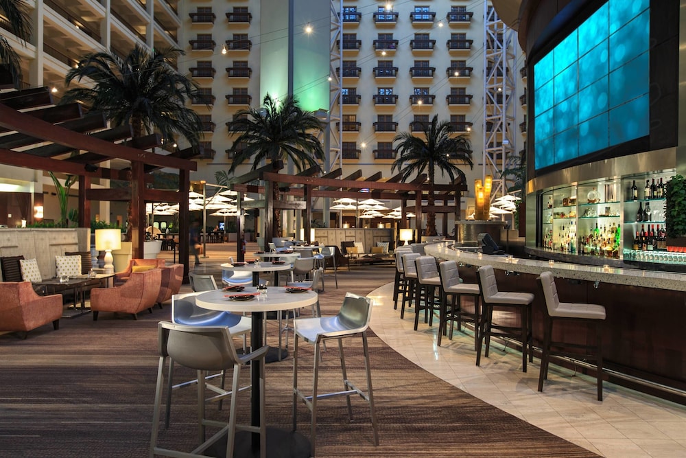 Renaissance Orlando at SeaWorld 2019 Room Prices 135, Deals & Reviews
