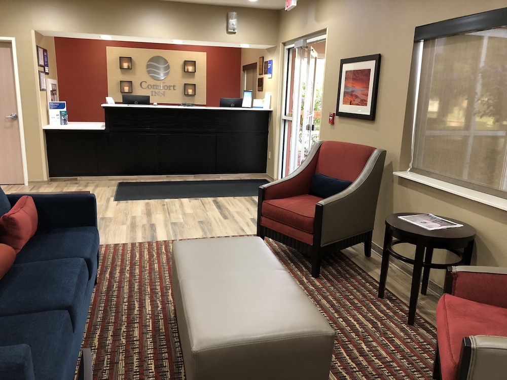 Reception, Comfort Inn Wichita Falls Near University