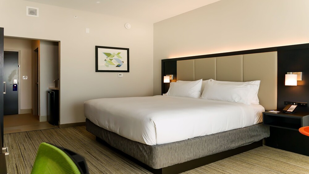 Holiday Inn Express & Suites Tampa East - Ybor City, an IHG Hotel