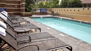 Outdoor pool, sun loungers