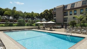 Una piscina al aire libre, sombrillas, tumbonas