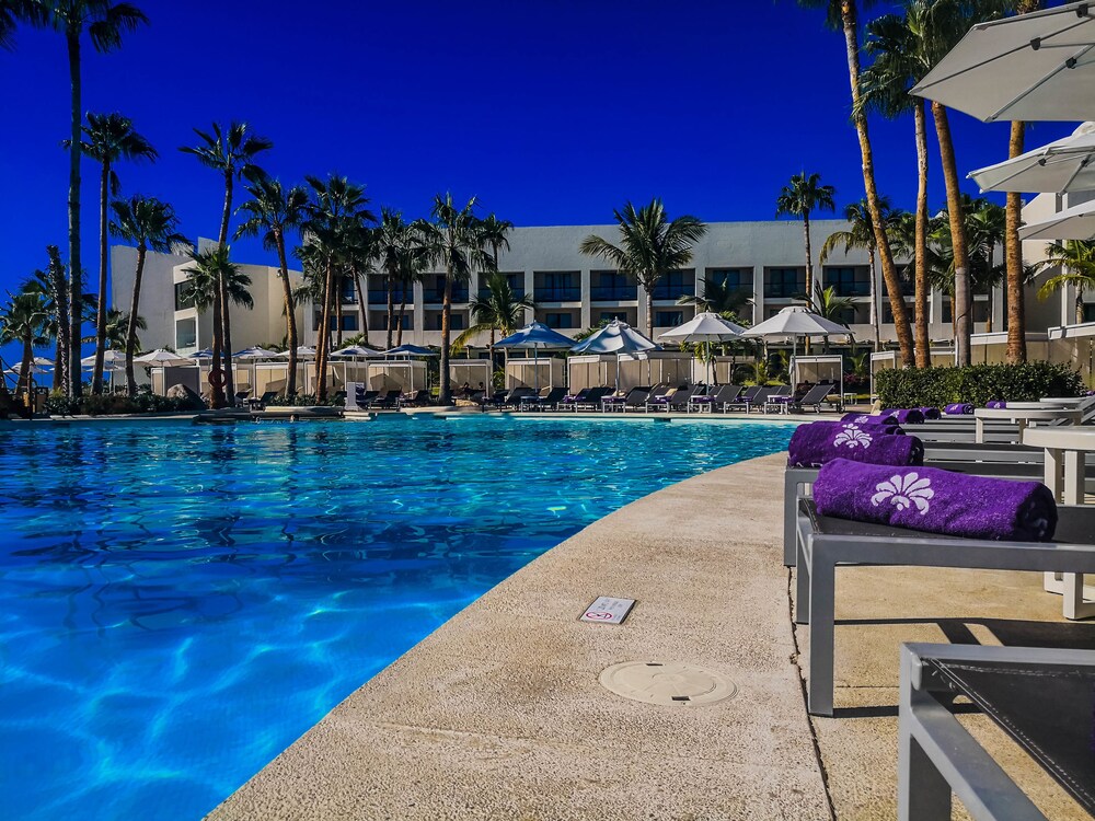 Paradisus By Melia Cabos All Inclusive Los Room Prices Curly Selected Item